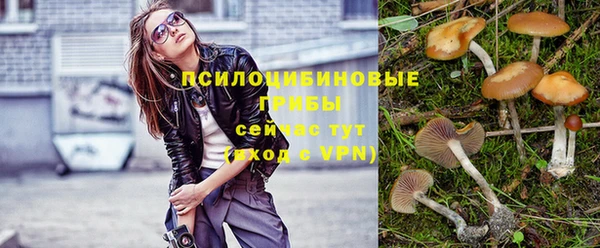 герыч Новозыбков
