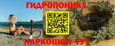 мдпв Гатчина