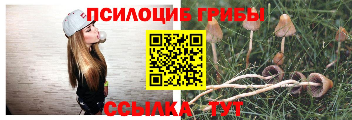 Псилоцибиновые грибы мухоморы  Псилоцибиновые грибы Psilocybe  Миллерово  Вход с VPN 